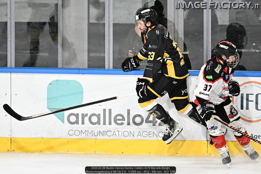 2025-02-08 Mastini Varese-Hockey Caldaro 4219 Marcello Borghi